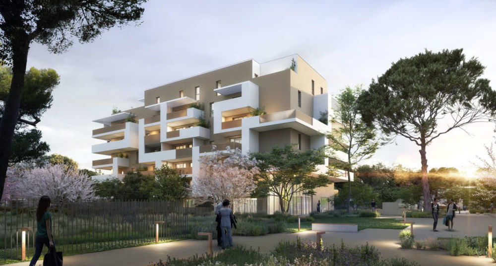 Appartements neufs   Montpellier (34000)